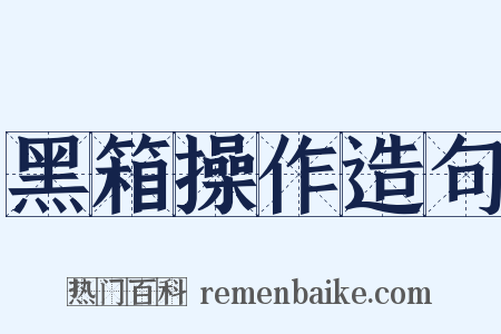 黑箱操作造句是什么意思的图片